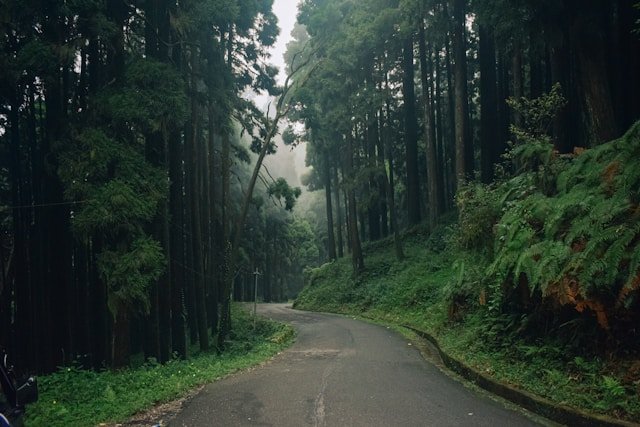 Kolkata_to_Darjeeling_road