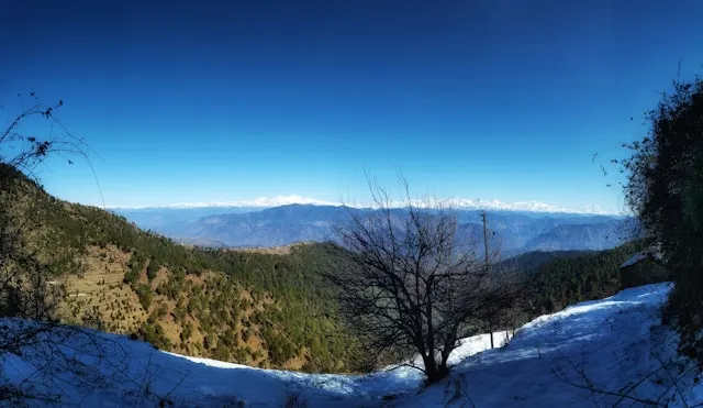 Kanatal,_Uttarakhand