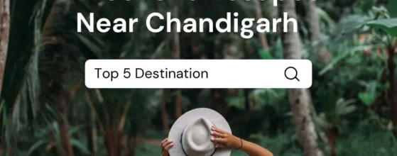 Top_5_Destinations_for_a_3_Day_Trip_from_Chandigarh